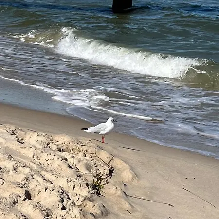 Erik & Himmelsmeer Daire